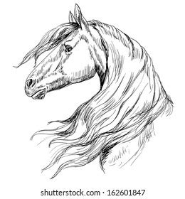 Horse Head Sketch Style Stock Vector (Royalty Free) 162601847 ...