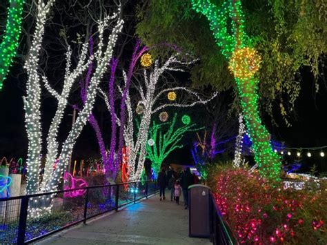 ZOO LIGHTS - Updated January 2025 - 19 Photos - 3400 E Zoo Ct, Tucson ...