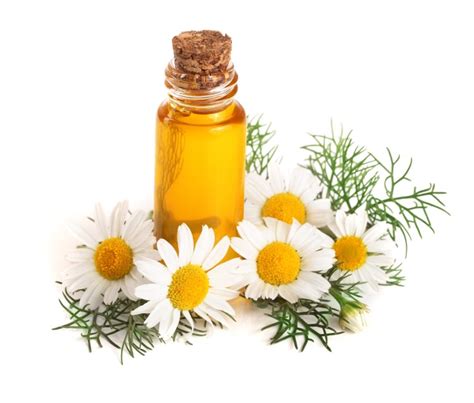 How To Use Chamomile Essential Oil