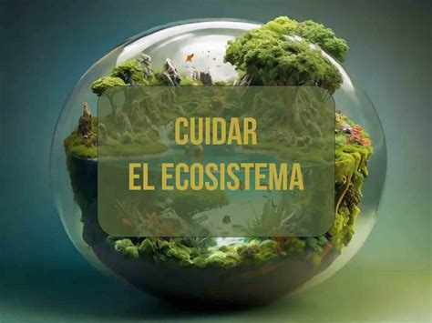 Cómo Cuidar El Ecosistema