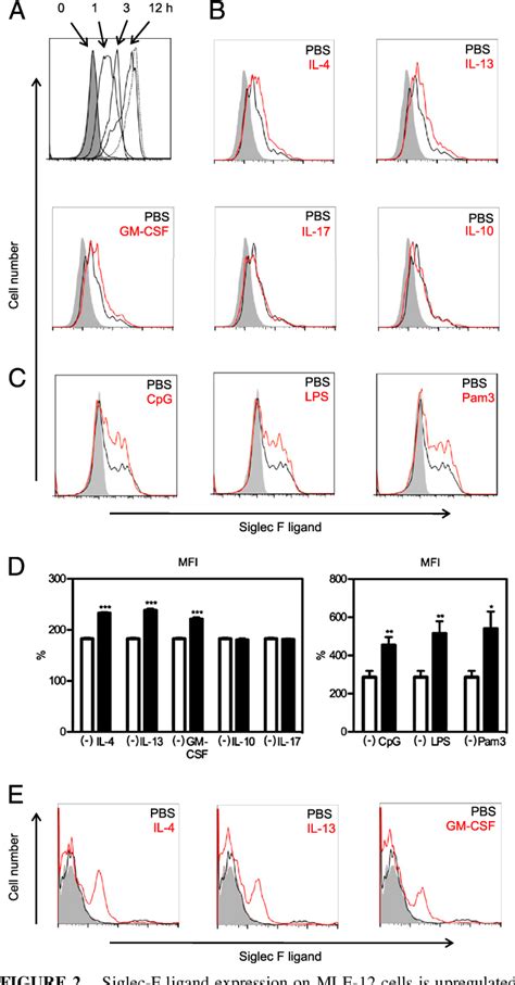 Figure 1 From Sialyltransferase ST3Gal III Regulates Siglec F Ligand