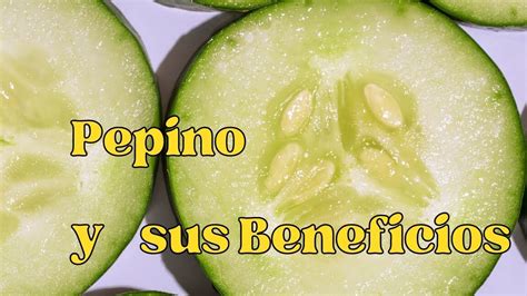 Descubre Los Beneficios De Las Plantas De Pepino Para Tu Salud