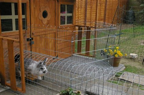 Outdoor Housing Tips Examples Page 3 Rabbits United Forum