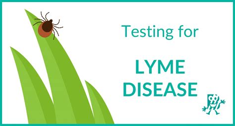 Testing For Lyme Disease Biomedica