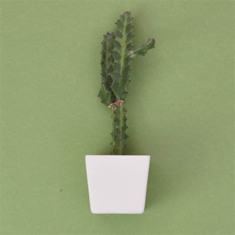 Dip Wall Vase Half Round Nude Studio Harm En Elke