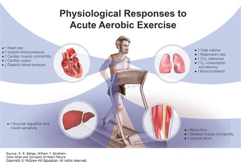 Unit 3 PE Acute Physiological Responses To Exercise Assessment