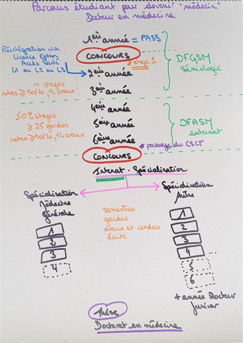 Le Parcours Tudiant Pour Devenir M Decin La Premi Re Ann E La Pass