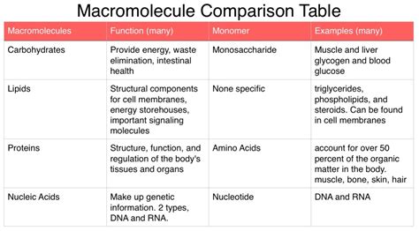 Macromolecule Comparison Chart Mshelleyanatomyaset