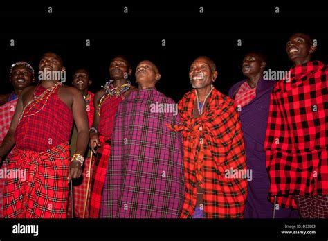 Masai Dancing Maasai Mara National Reserve Kenya Stock Photo Alamy