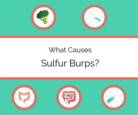 What Are Sulfur Burps Causes And Treatments Drug Genius