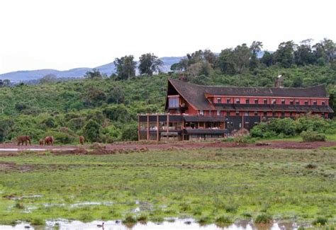 Fairmont The Ark Lodge Aberdare Nationalpark Kenia Reisen