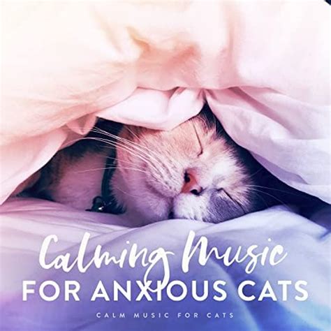 Play Calming Music for Anxious Cats by Calm Music for Cats on Amazon Music