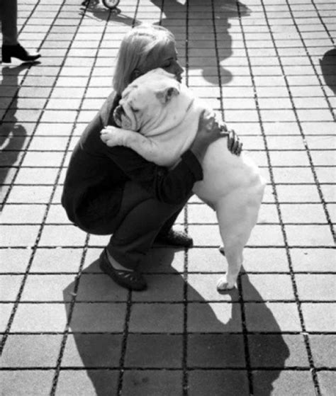 Ten Photos of Lovable Dogs Hugging People and Other Animals