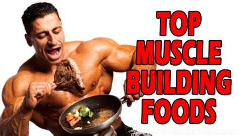 TOP MUSCLE-BUILDING FOODS | Project NEXT