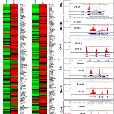 RNA Seq Analysis Reveals LPS Stimulated Pro Inflammatory Gene