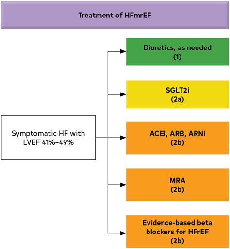 2022 AHA/ACC/HFSA Guideline for the Management of Heart Failure