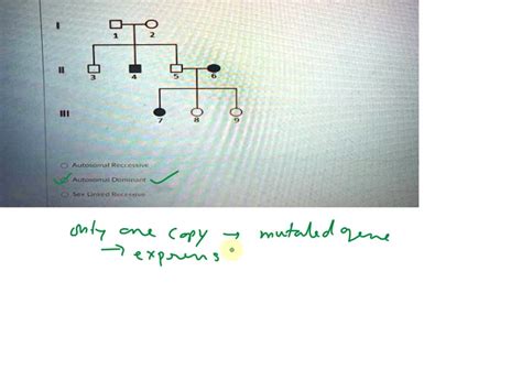 Solved Based On The Pedigree Which Pattern Of Inheritance Must The Shaded Trait Follow