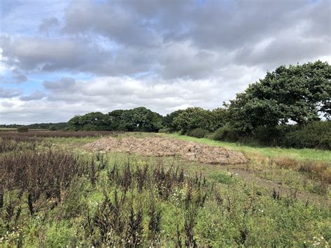 Bean Field Near Ashington Richard Webb Cc By Sa 2 0 Geograph