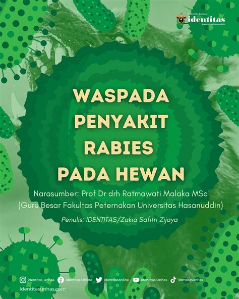 Infografis Waspada Penyakit Rabies Pada Hewan Identitas Unhas