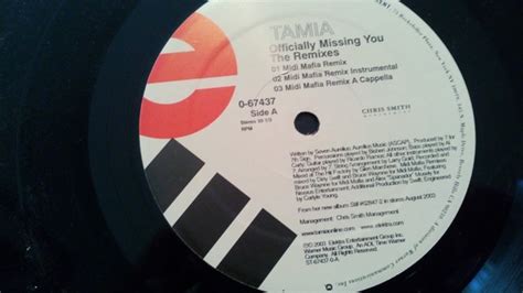 Tamia - Officially Missing You (The Remixes) (2003, Vinyl) | Discogs