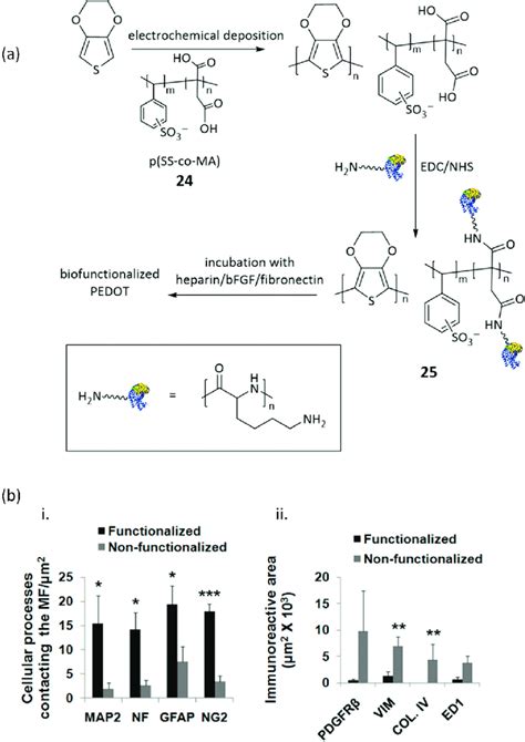 12 Enhancing Cell Adhesion Through Dopant Functionalization A Download Scientific Diagram