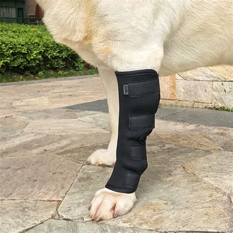 Best Dog Hock Support Brace For Sale Lovepluspet