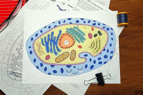 Animal Cell Project