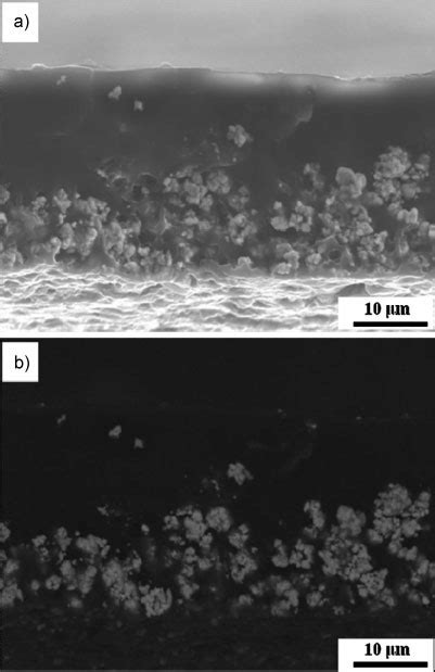 SE Mode Top And BSE Mode Bottom SEM Images Of Polymer CuO 70 30