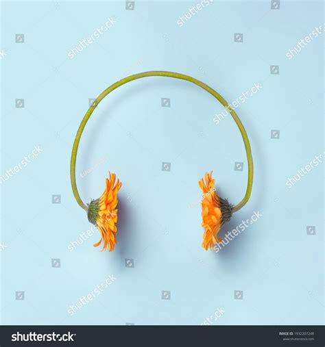 13,047 Headphones flowers Images, Stock Photos & Vectors | Shutterstock