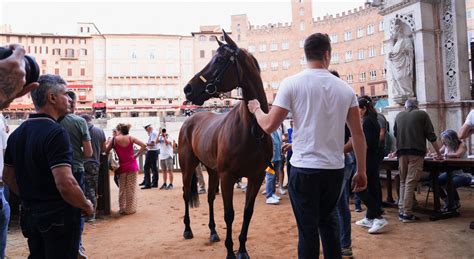 Palio Di Siena Evento Annullato Causa Maltempo Disagi Per Far