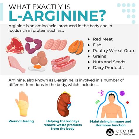 L Arginine Erectile Dysfunction