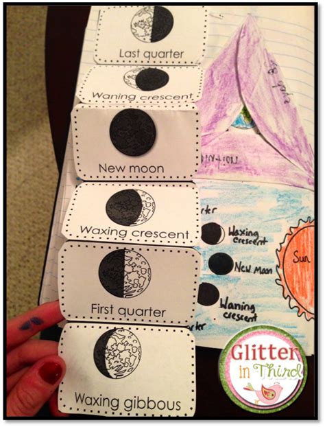 Phases Of The Moon Craftivity Science Notebooks Interactive