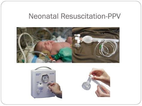 Ppt Neonatal Resuscitation Provider Powerpoint Presentation Free Download Id4502831