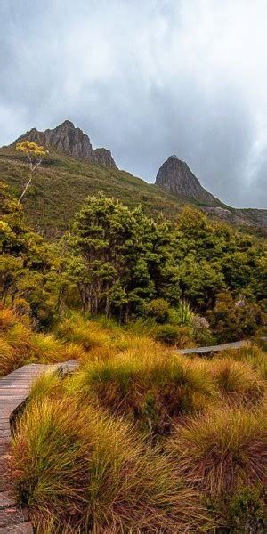 Cradle Mountain Day Trip From Launceston With Lunch Getyourguide