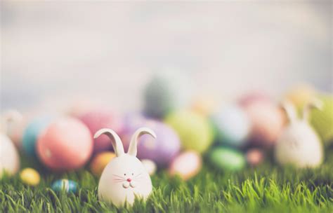 47 Creative Adult Easter Egg Hunt Ideas For Ultimate Fun The Beehive Connection