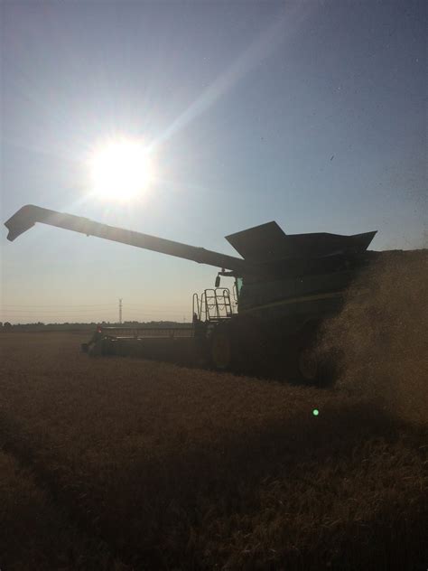 Wheat Harvest has Started in Ontario! - C&M Seeds
