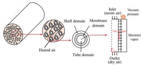 Schematic Of A Hollow Fiber Membrane Module And The Three Domains Of A