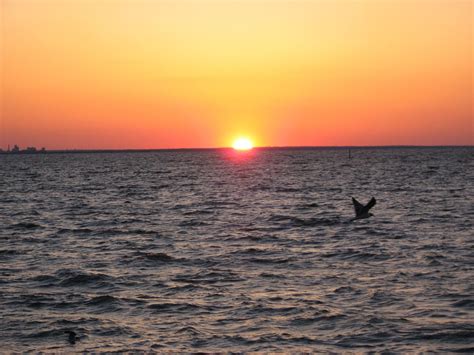 Point Clear, Alabama - 2011 | Celestial, Sunset, Travel