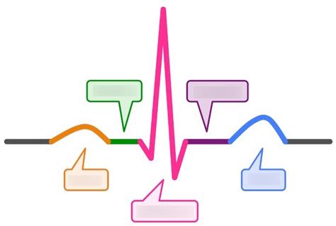 Ecg Trace Diagram Quizlet