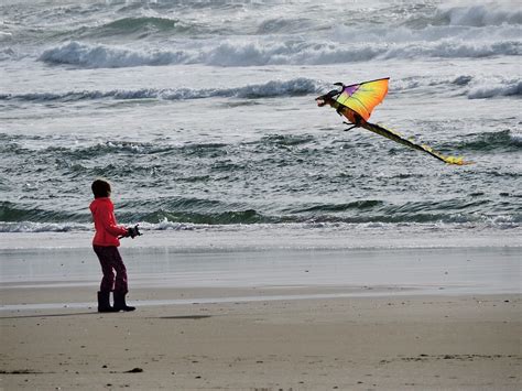 Beach Kite Flying - Free photo on Pixabay - Pixabay