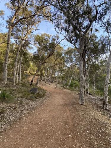 2023 Best Waterfall Trails in Kalamunda National Park | AllTrails