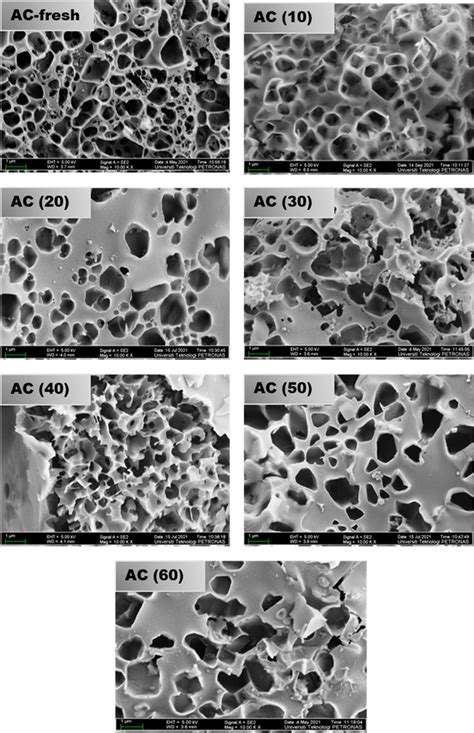 Fesem Images Of Fresh Activated Carbon Ac And Functionalized With