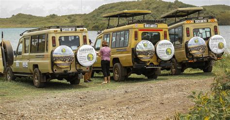 Lake Manyara NP Ngorongoro Krater 2 Tages Safari GetYourGuide