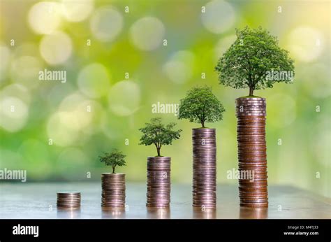 Money Growth Saving Money Upper Tree Coins To Shown Concept Of Growing