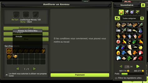 DOFUS TOUCH SESSION EXO PA OU PAS YouTube