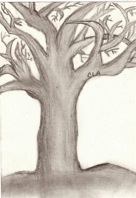 tree shading by cla027 on DeviantArt