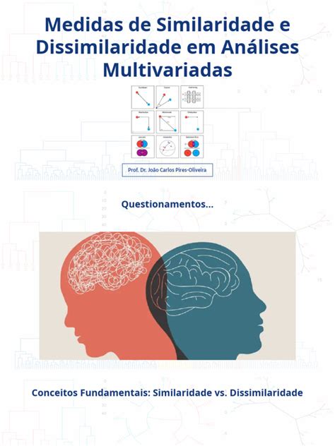 O Que É Similaridade - Medidas de Similaridade e Dissimilaridade Em Análises Multivariadas Ok ...