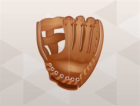 Difference Between a Baseball Glove and Softball Glove