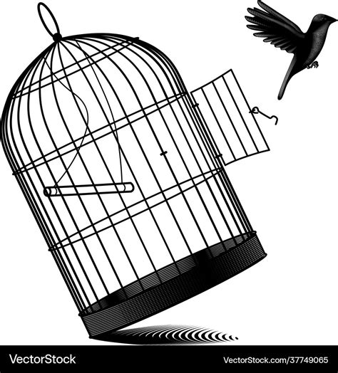 Fallen Birdcage And A Black Bird Flying Away Vector Image