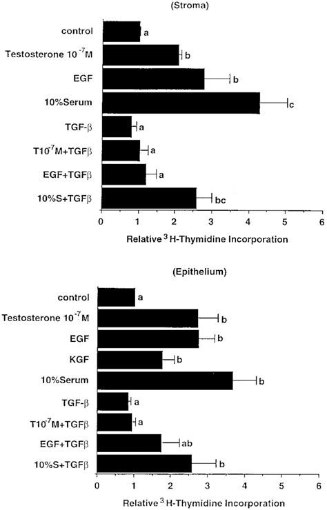 The 3 H Thymidine Incorporation Growth Assay On Cultured Rat Ventral